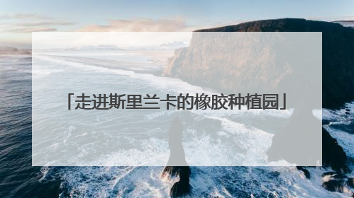 走进斯里兰卡的橡胶种植园