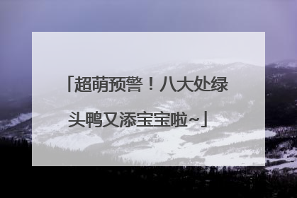 超萌预警！八大处绿头鸭又添宝宝啦~