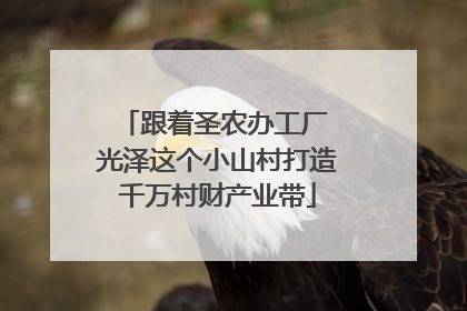 跟着圣农办工厂 光泽这个小山村打造千万村财产业带