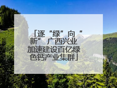 逐“绿”向“新” 广西兴业加速建设百亿绿色钙产业集群