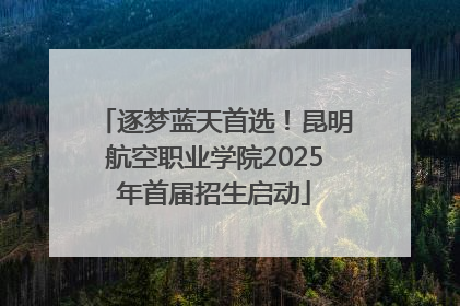 逐梦蓝天首选！昆明航空职业学院2025年首届招生启动