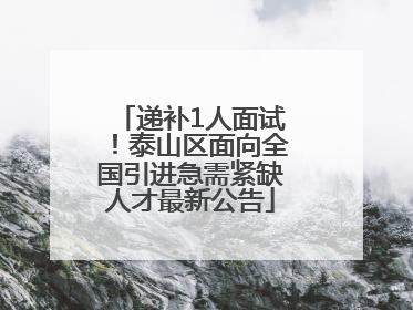 递补1人面试！泰山区面向全国引进急需紧缺人才最新公告