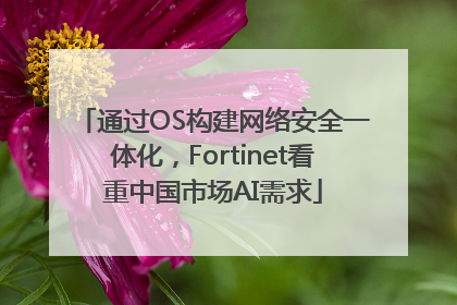 通过OS构建网络安全一体化，Fortinet看重中国市场AI需求