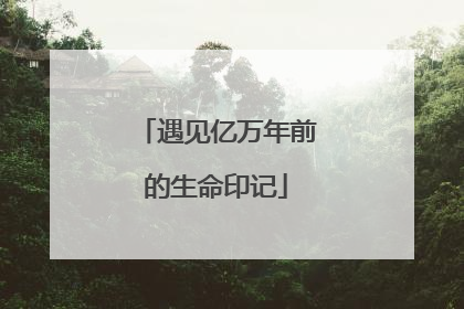 遇见亿万年前的生命印记