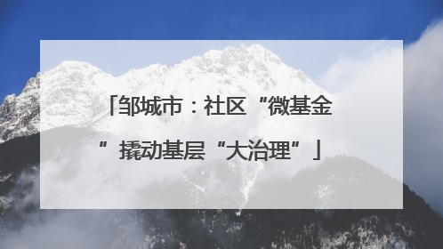 邹城市：社区“微基金”撬动基层“大治理”