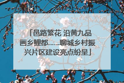 邑路繁花 沿黄九品 画乡鲤都……聊城乡村振兴片区建设亮点纷呈