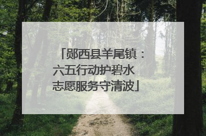 郧西县羊尾镇：六五行动护碧水 志愿服务守清波