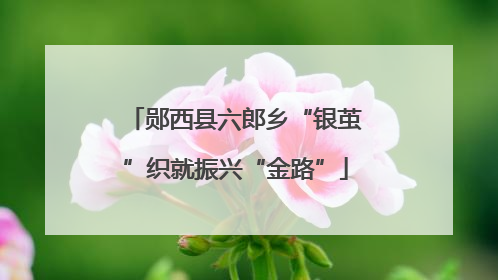 郧西县六郎乡“银茧”织就振兴“金路”
