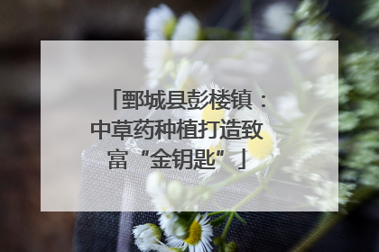 鄄城县彭楼镇：中草药种植打造致富“金钥匙”