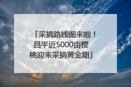 采摘路线图来啦！昌平近5000亩樱桃迎来采摘黄金期
