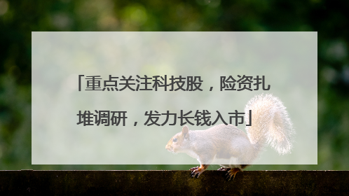 重点关注科技股，险资扎堆调研，发力长钱入市