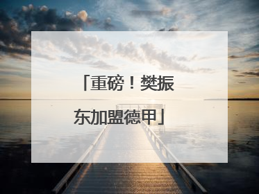 重磅！樊振东加盟德甲