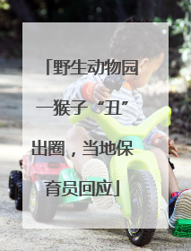 野生动物园一猴子“丑”出圈，当地保育员回应