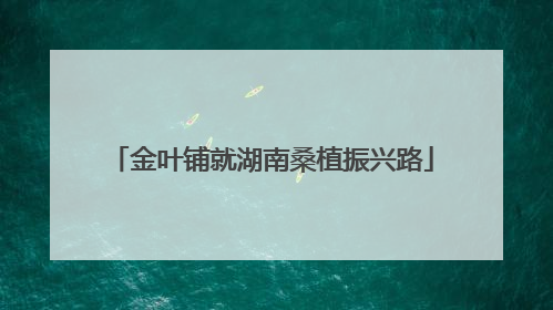 金叶铺就湖南桑植振兴路