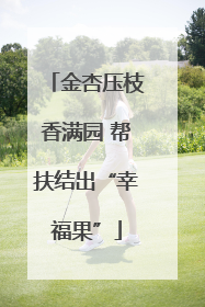 金杏压枝香满园 帮扶结出“幸福果”