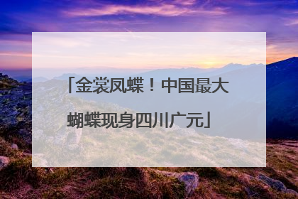 金裳凤蝶！中国最大蝴蝶现身四川广元