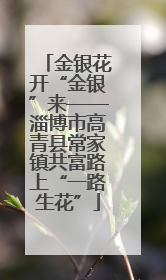 金银花开“金银”来——淄博市高青县常家镇共富路上“一路生花”