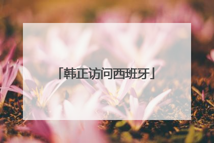 韩正访问西班牙