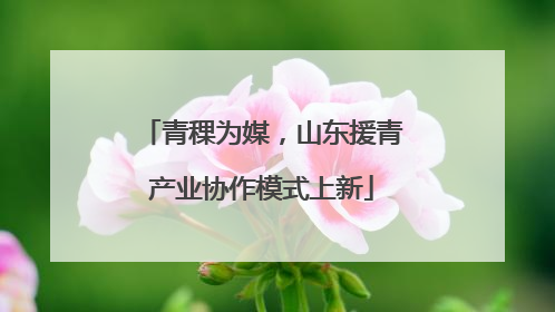 青稞为媒，山东援青产业协作模式上新