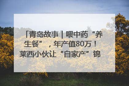 青岛故事｜喂中药“养生餐”，年产值80万！莱西小伙让“自家产”锦鲤“游”向全国