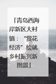 青岛西海岸新区大村镇：“赏花经济”绘就乡村振兴新图景