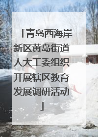 青岛西海岸新区黄岛街道人大工委组织开展辖区教育发展调研活动