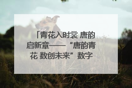 青花入时裳 唐韵启新章——“唐韵青花 数创未来”数字文创设计大赛启幕