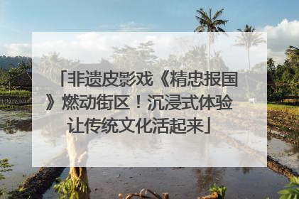 非遗皮影戏《精忠报国》燃动街区！沉浸式体验让传统文化活起来