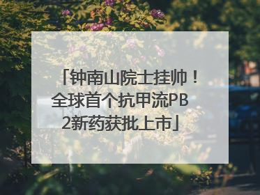 钟南山院士挂帅！全球首个抗甲流PB2新药获批上市
