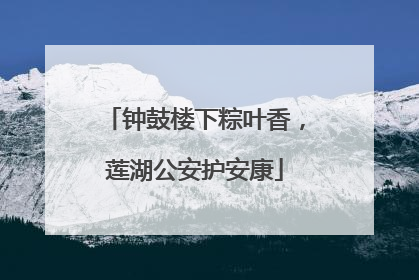 钟鼓楼下粽叶香，莲湖公安护安康