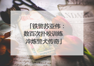 铁警苏亚伟：数百次扑咬训练淬炼警犬传奇
