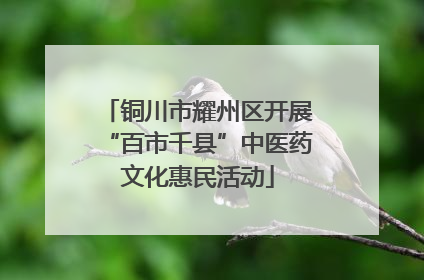 铜川市耀州区开展“百市千县”中医药文化惠民活动