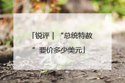 锐评｜“总统特赦”要价多少美元