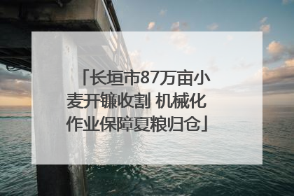 长垣市87万亩小麦开镰收割 机械化作业保障夏粮归仓