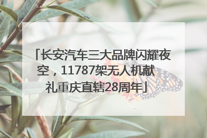 长安汽车三大品牌闪耀夜空，11787架无人机献礼重庆直辖28周年