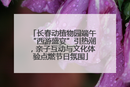 长春动植物园端午“西游盛宴”引热潮，亲子互动与文化体验点燃节日氛围