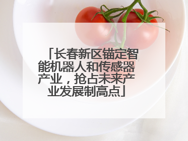长春新区锚定智能机器人和传感器产业，抢占未来产业发展制高点