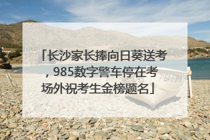 长沙家长捧向日葵送考，985数字警车停在考场外祝考生金榜题名
