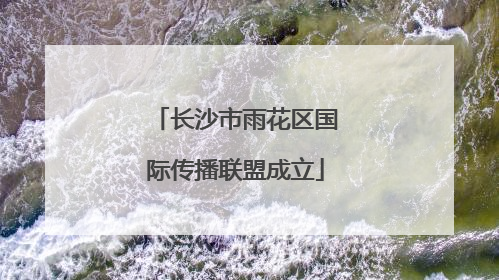 长沙市雨花区国际传播联盟成立