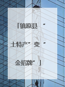 镇原县 “土特产”变“金招牌”
