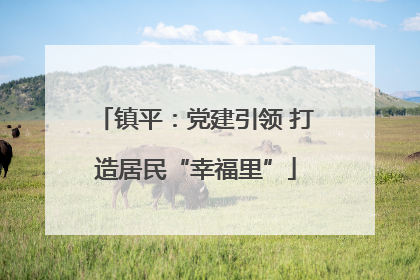 镇平：党建引领 打造居民“幸福里”