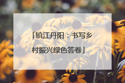 镇江丹阳：书写乡村振兴绿色答卷