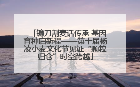 镰刀割麦话传承 基因育种启新程——第十届杨凌小麦文化节见证“颗粒归仓”时空跨越
