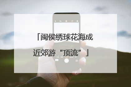 闽侯绣球花海成近郊游“顶流”
