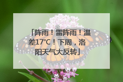 阵雨！雷阵雨！温差17℃！下周，洛阳天气大反转