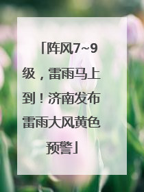 阵风7~9级，雷雨马上到！济南发布雷雨大风黄色预警