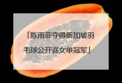陈雨菲夺得新加坡羽毛球公开赛女单冠军