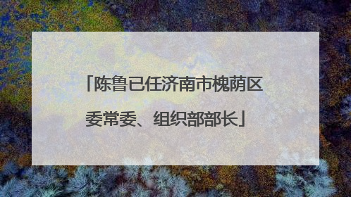 陈鲁已任济南市槐荫区委常委、组织部部长