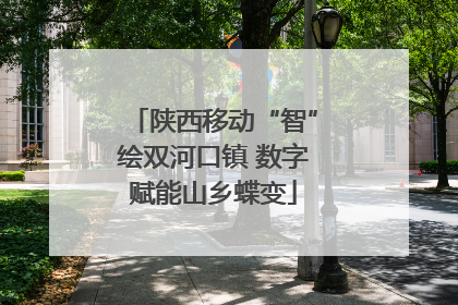 陕西移动“智”绘双河口镇 数字赋能山乡蝶变