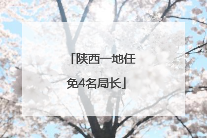 陕西一地任免4名局长
